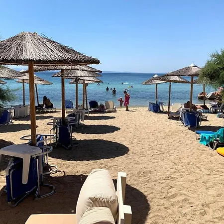 Daire Paradise -nola 1